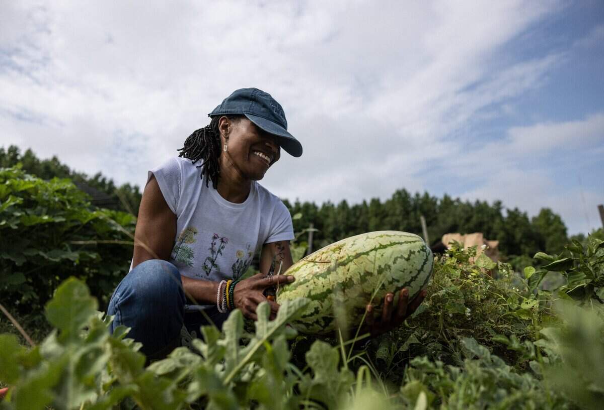 Xiomara Livingston picks her first watermelon grown in her garden at Reedy Creek Community Garden.