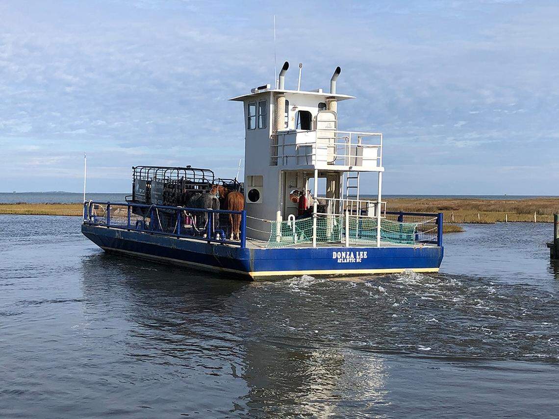The Donza Lee ferry heads away from the dock on North Core Banks, taking the recovered cattle and the wranglers back to Morris Marina in Atlantic, North Carolina.