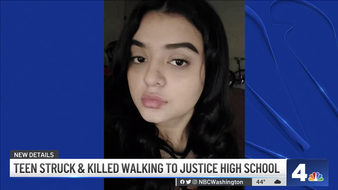 A 17-year-old was struck and killed in a crosswalk on her way to school in Virginia, her family says.