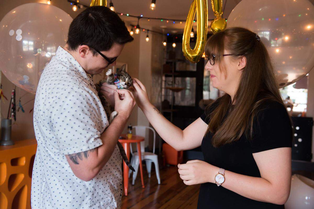 Sean Pitchford planned a “birthday photoshoot” with Mac Tabby staff to prepare the perfect setting to pop the question.