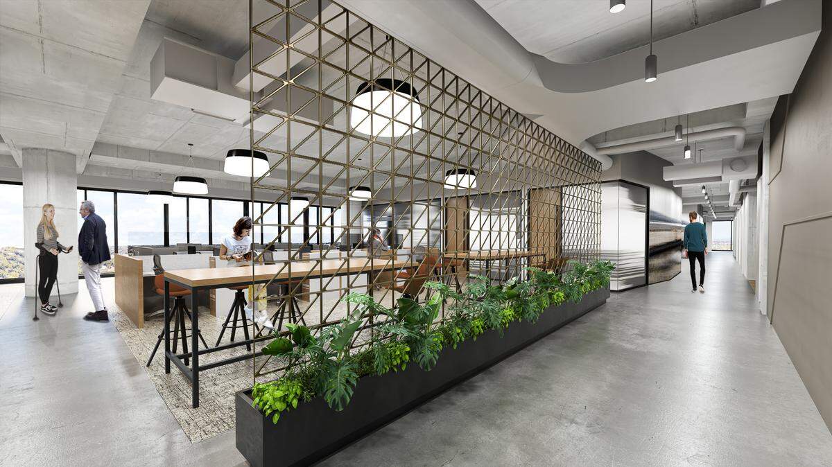 TTX open office spaces at The Line in Charlotte will focus on a connection to the outdoors and allowing natural light.