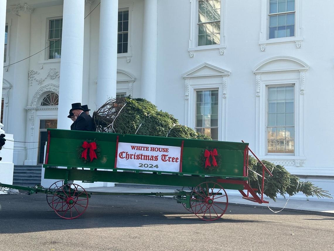 “Treemendous,” the 2024 White House Christmas tree, arrives outside the president’s mansion on Monday, November 25, 2024. The tree was selected from Cartner’s Christmas Tree Farm in Avery County, North Carolina.