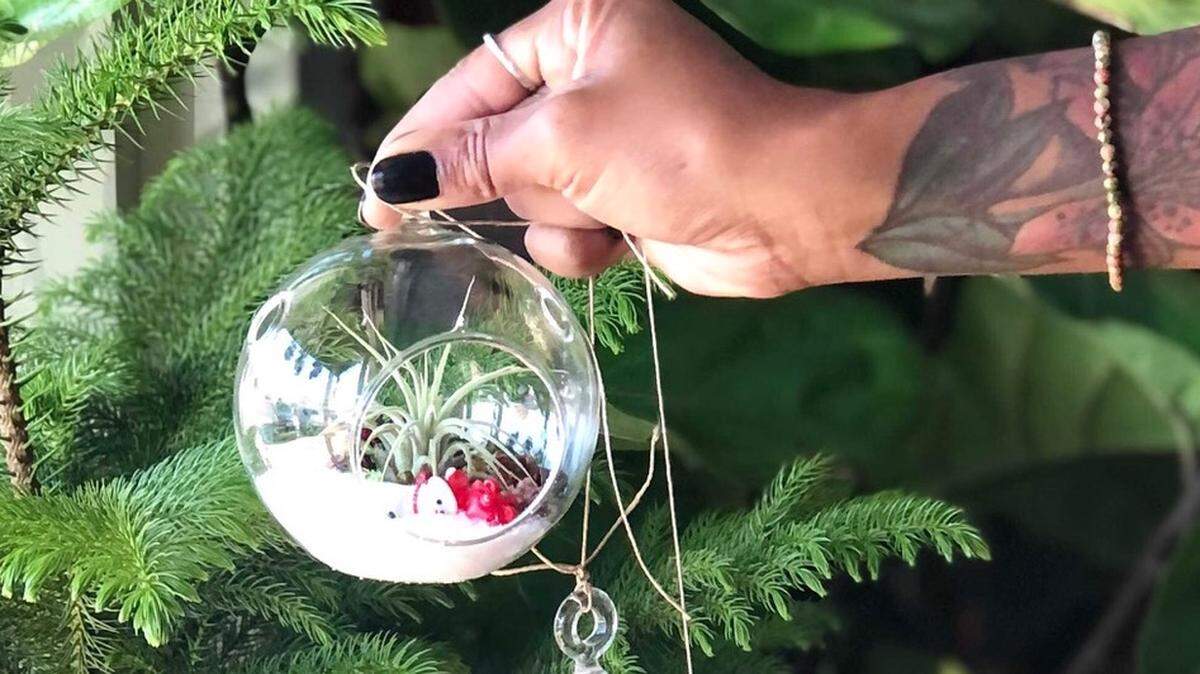 Create a Winter Wonderland terrarium at Twigs & Figs.