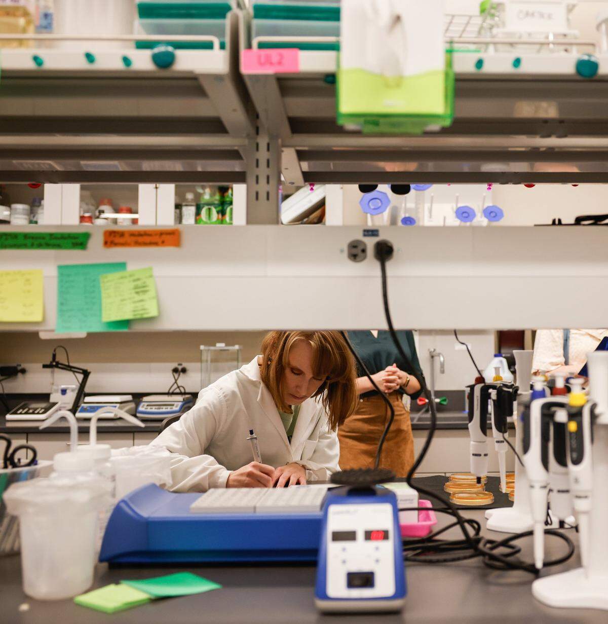 Alison Moore, a microbiology graduate student, works in the Carter Lab at UNC Charlotte on Friday, April, 26, 2024.