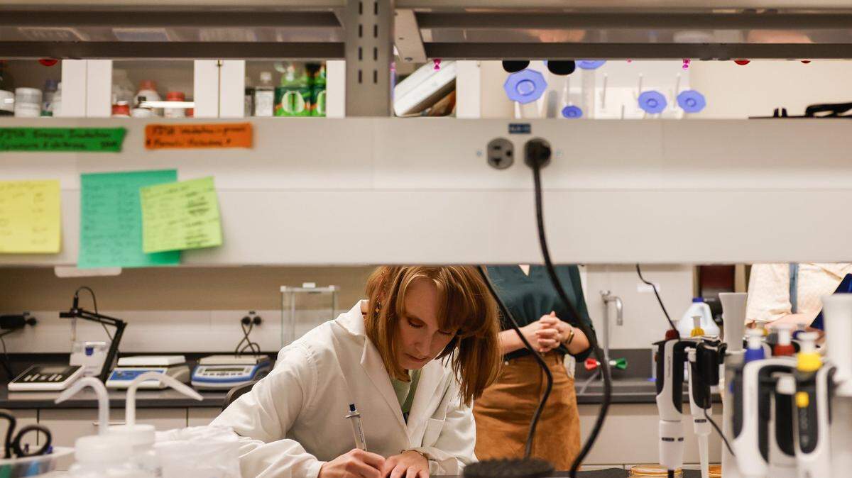 Alison Moore, a microbiology graduate student, works in the Carter Lab at UNC Charlotte on Friday, April, 26, 2024. The school will join the ranks of top research universities next year when the Carnegie Foundation updates its criteria for which schools qualify.