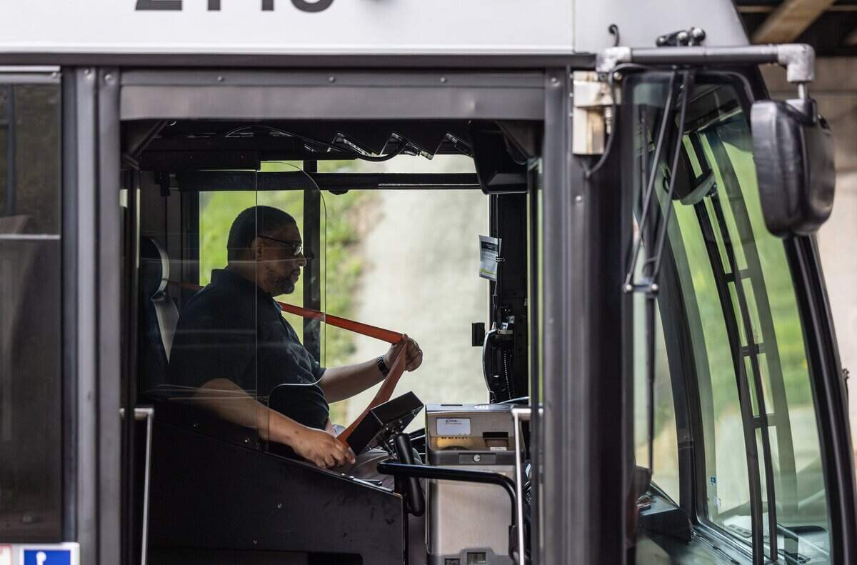 CATS bus drivers are assaulted at a higher rate than the national average, an Observer investigation found.