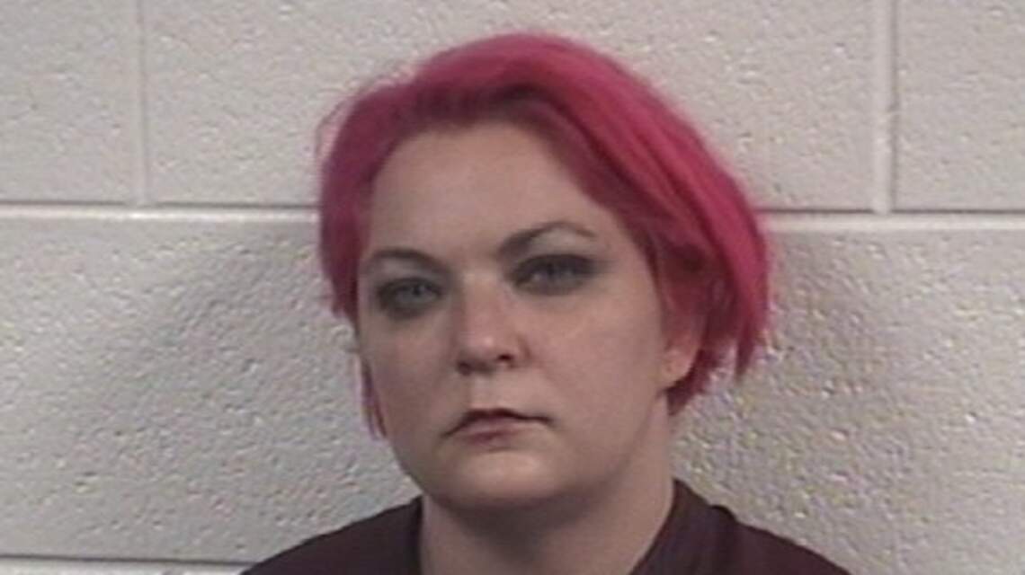 Cops told her not to leave her dog in a hot car. She did it anyway, NC sheriff says