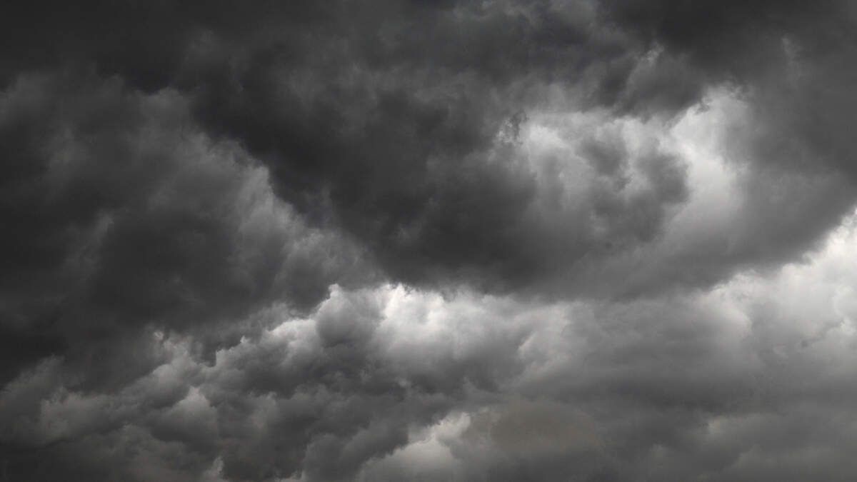 Heavy rains and possible thunderstorms are forecast for the Charlotte region on Monday, Feb. 12, 2024.