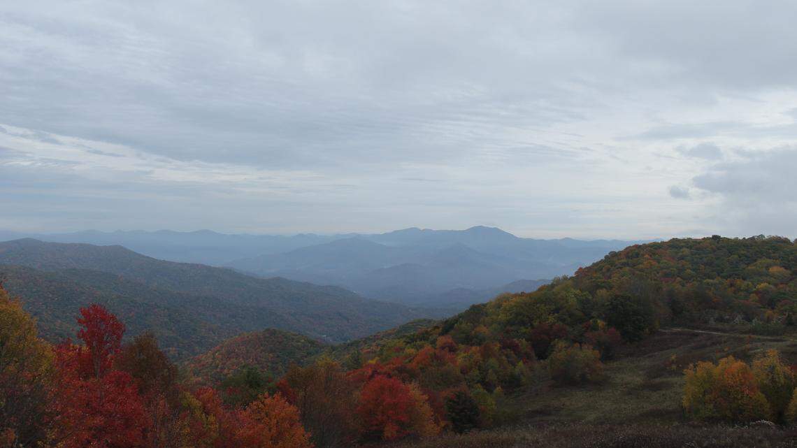 The woman was found Sunday afternoon 10 miles east of Dandridge, in a sparsely populated area near Great Smoky Mountains National Park.