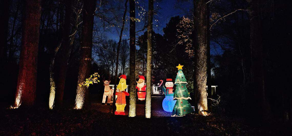 A holiday display set within a dark, dense wood line. The scene features illuminated cutouts of Christmas characters, including a reindeer, Santa, and a snowman, standing among the trees which are partially lit from below by white spotlights.