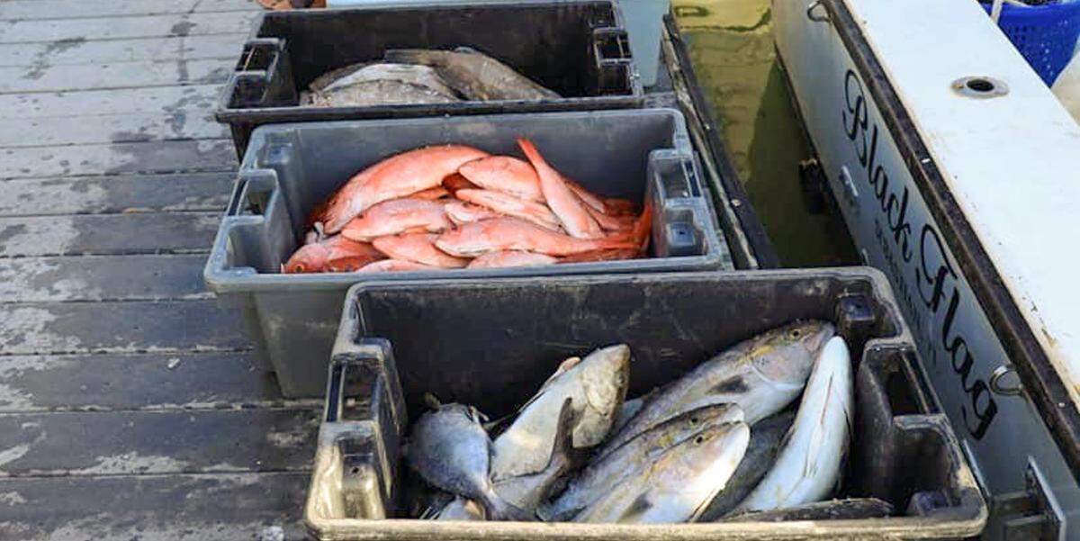Catch on Seafood partners with Wicked Inlet, a seafood company based out of Murrells Inlet, South Carolina.