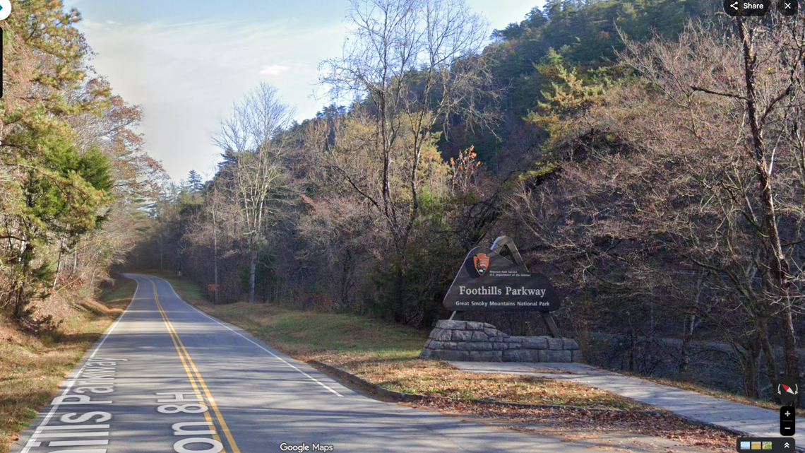33 black vultures were killed, then ‘dumped’ in Great Smoky Mountains, park says