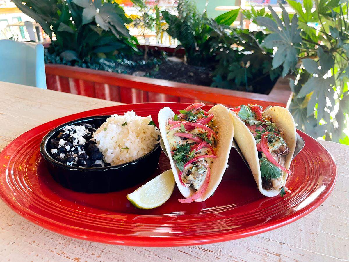SouthBound is offering a free meal for veterans who dine in. They’ll get two free carnitas tacos with a side of rice and beans with the purchase of a beverage.