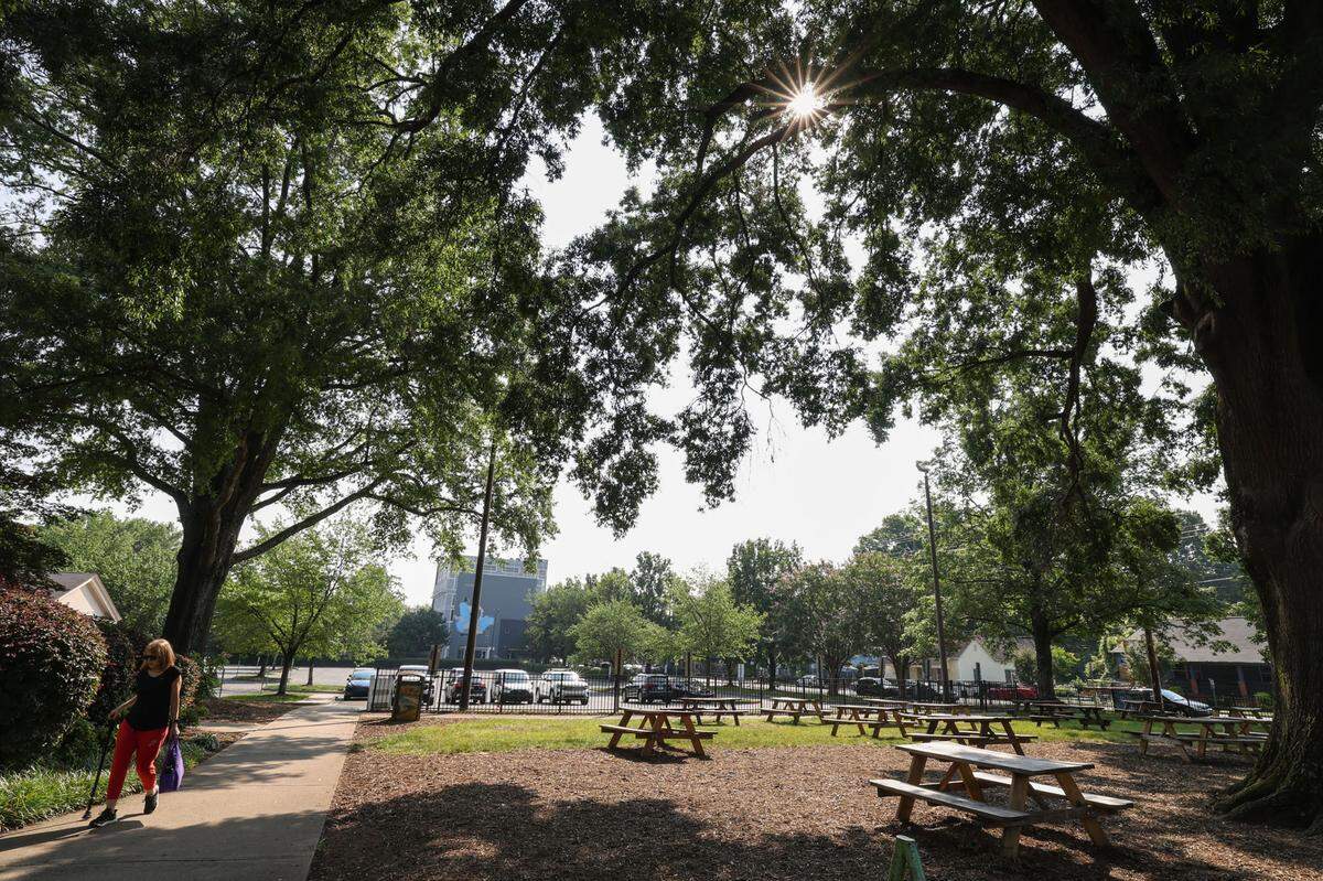 A massive willow oak tree shades the front lawn of the Johnston YMCA branch. NoDa residents fear for the fate of the tree with the sale of the property.