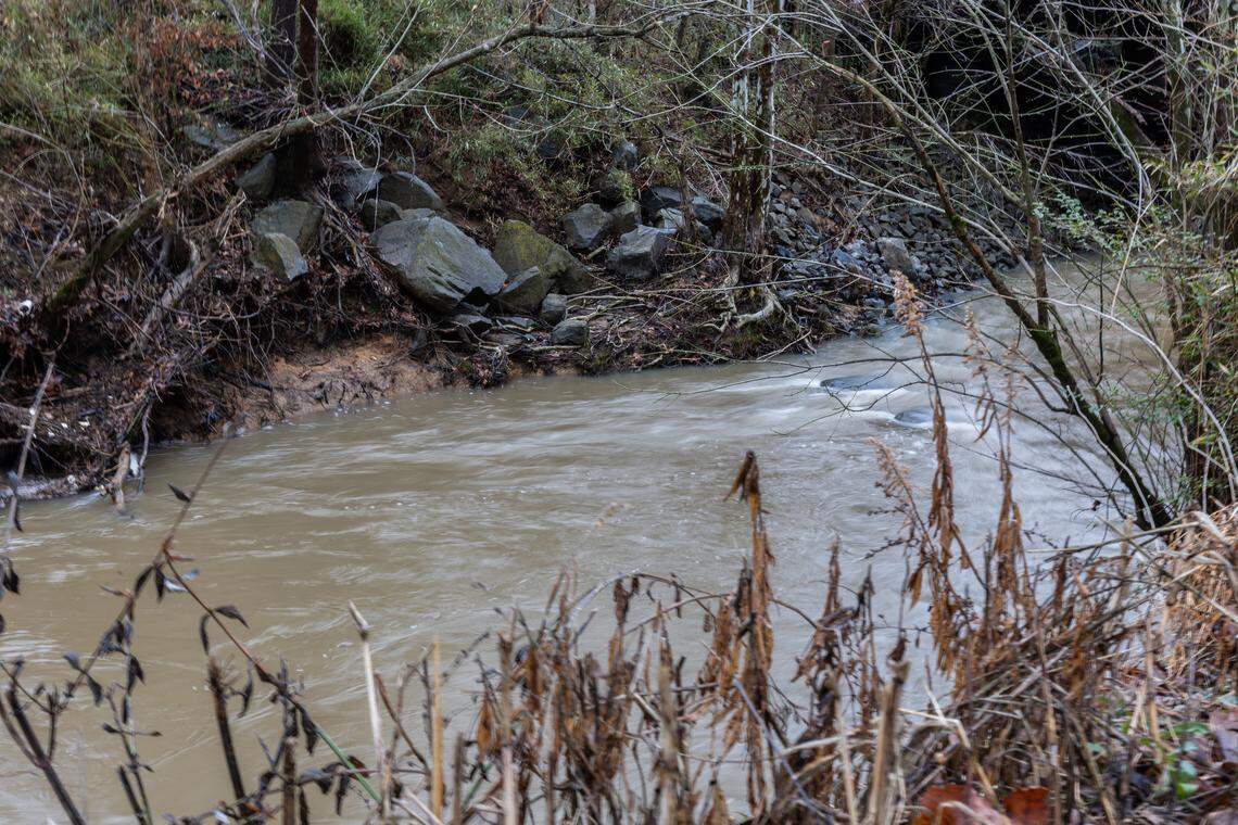 Mallard Creek in Charlotte, N.C., on Friday, February 27, 2026. The creek will undergo a restoration project, where crews will work to restore the flow of a degraded stream.