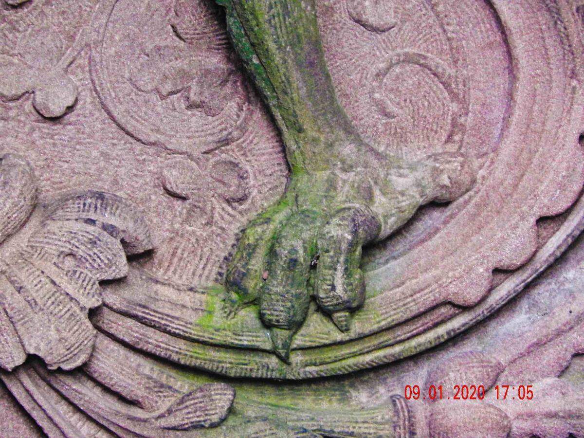 This closeup shows the clawed foot of a griffin on a home on Crescent Avenue in Charlotte.