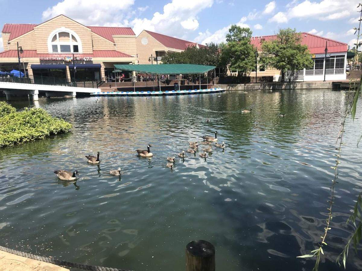 The Shoppes at University Place includes Boardwalk Billy’s, which serves Honey Lime Buffalo Chicken Fingers.