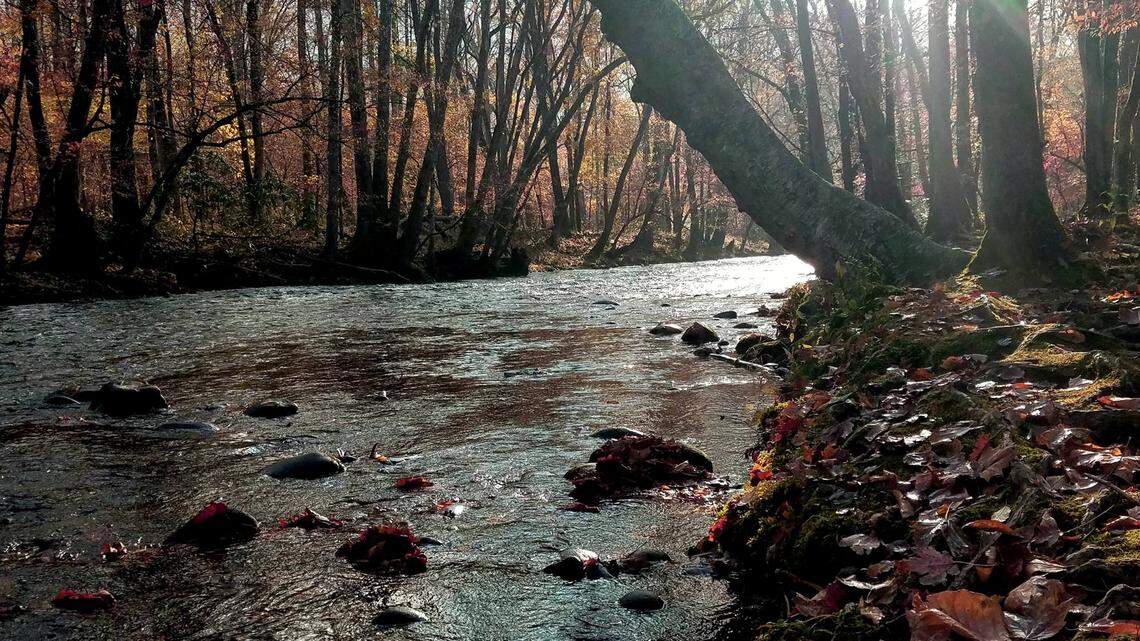 Kayaker Megan Thompson, 34, of Cleveland Heights, Ohio, died Feb. 24 on the Oconaluftee River in Great Smoky Mountains National Park.
