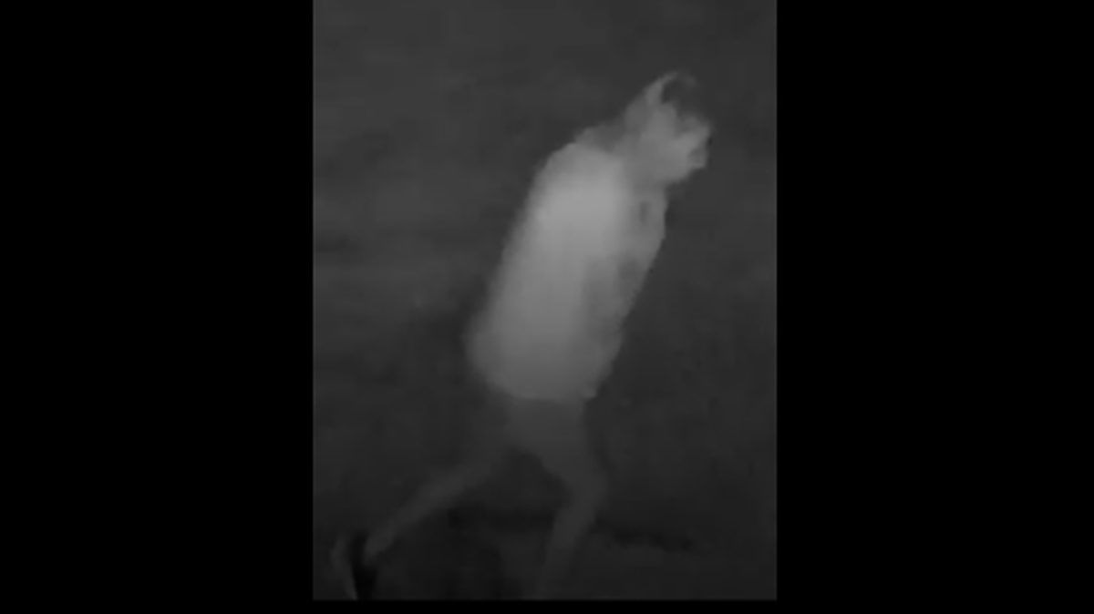 Huntersville Police are asking the public to help them identify a woman who’s body might have been found last month. Two suspects are in custody.