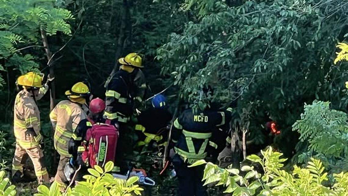 Driver plummets 200 feet off Blue Ridge Parkway, firefighters come to the rescue