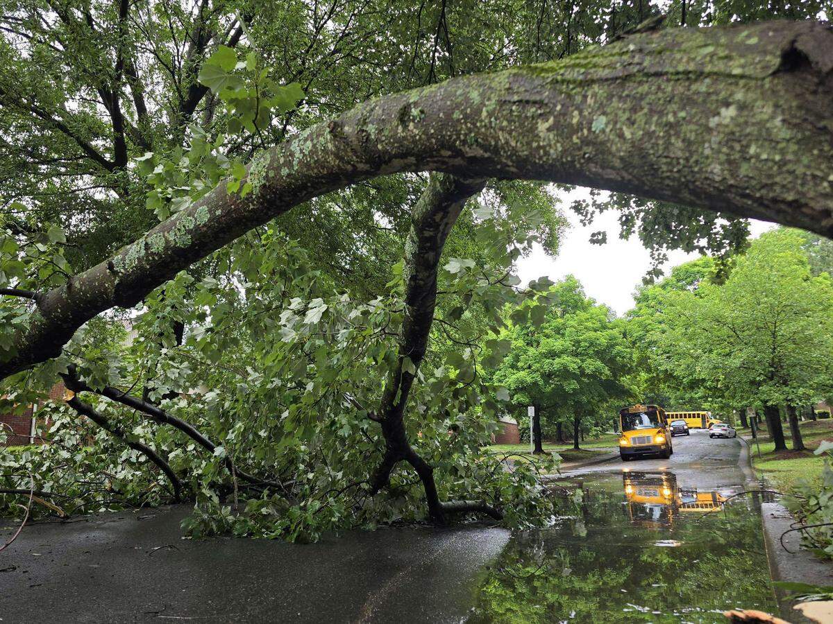 A downed tree on McAllister Drive blocks a school bus from going through in Charlotte Wednesday afternoon, May 8, 2024. Severe storms pummeled the Charlotte region on Wednesday, with a chance of hail “larger than golf balls,” according to the National Weather Service.