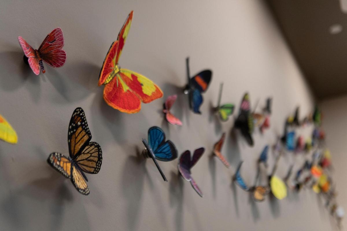 The Novant Health Agnes Binder Weisiger Breast Health Center in Charlotte includes a variety of displays from local artists. Novant is starting a new program for patients in the region.