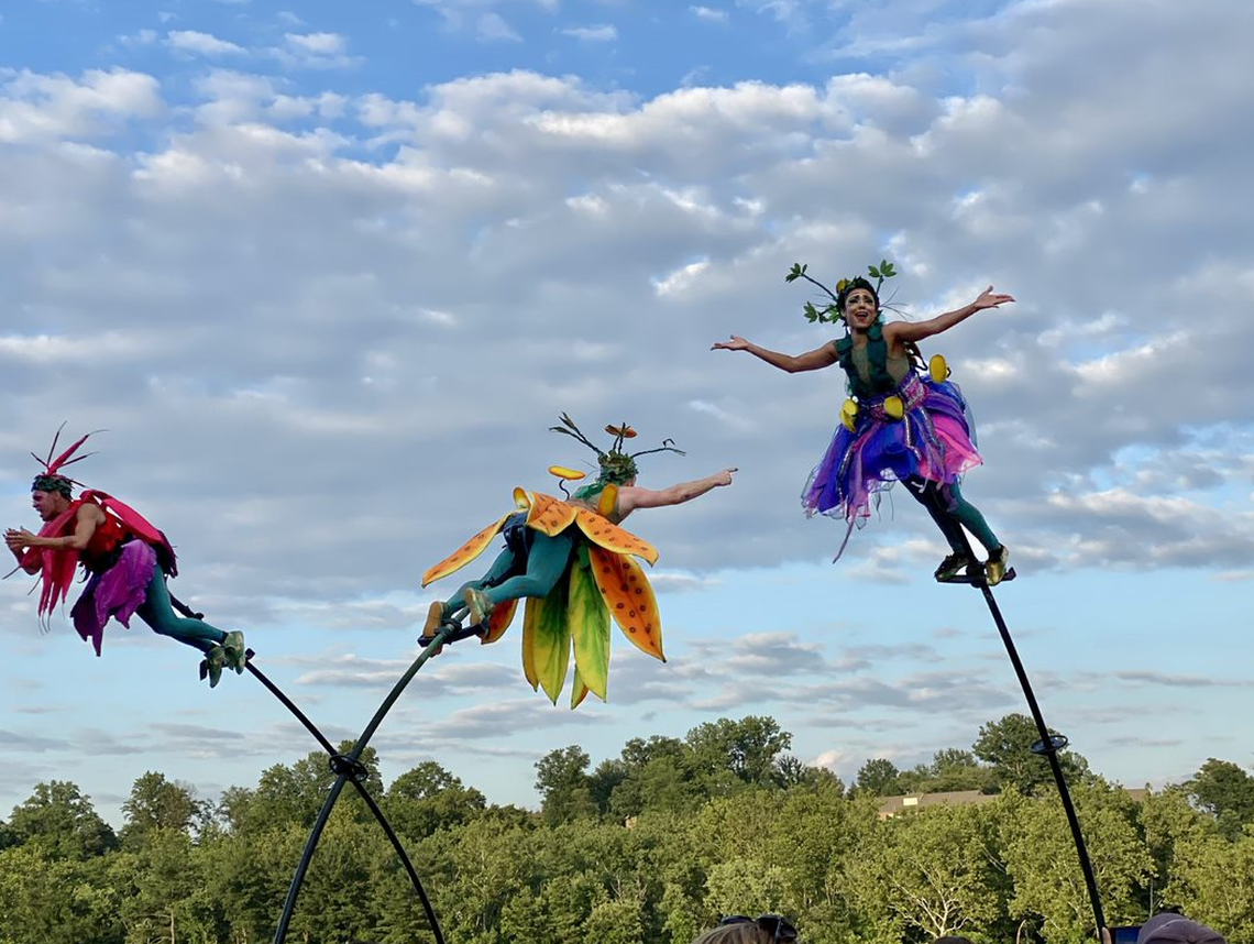 Acrobats with the Australian company Sway perform on 15-foot poles. Their “Bloom” performance at Charlotte International Arts Festival will celebrate nature.