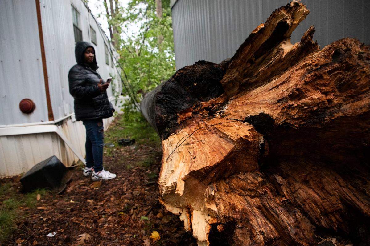 Severe thunderstorms brought damaging winds, power outages, downed trees, potential for hail, tornadoes to Charlotte NC Monday, Aug. 7, 2023. FAA grounded CLT planes. A person inspects a downed tree at Shady Grove Mobile Home Park in Charlotte.