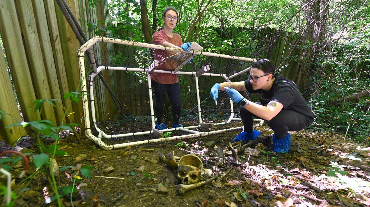 Dying with purpose: How a field full of bodies in North Carolina helps solve mysteries.