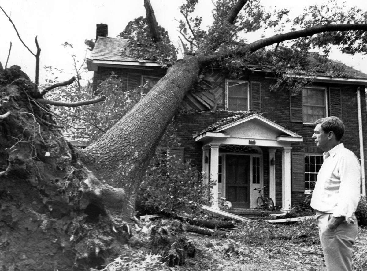 09/22/1989  Murrey Atkins looks at neighbors Pat and Molly Brugh (they were out of town)  house at 2160 Norton Rd, off Queens Road West. TOMMY FRANKLIN - OBSERVER FILE PHOTO