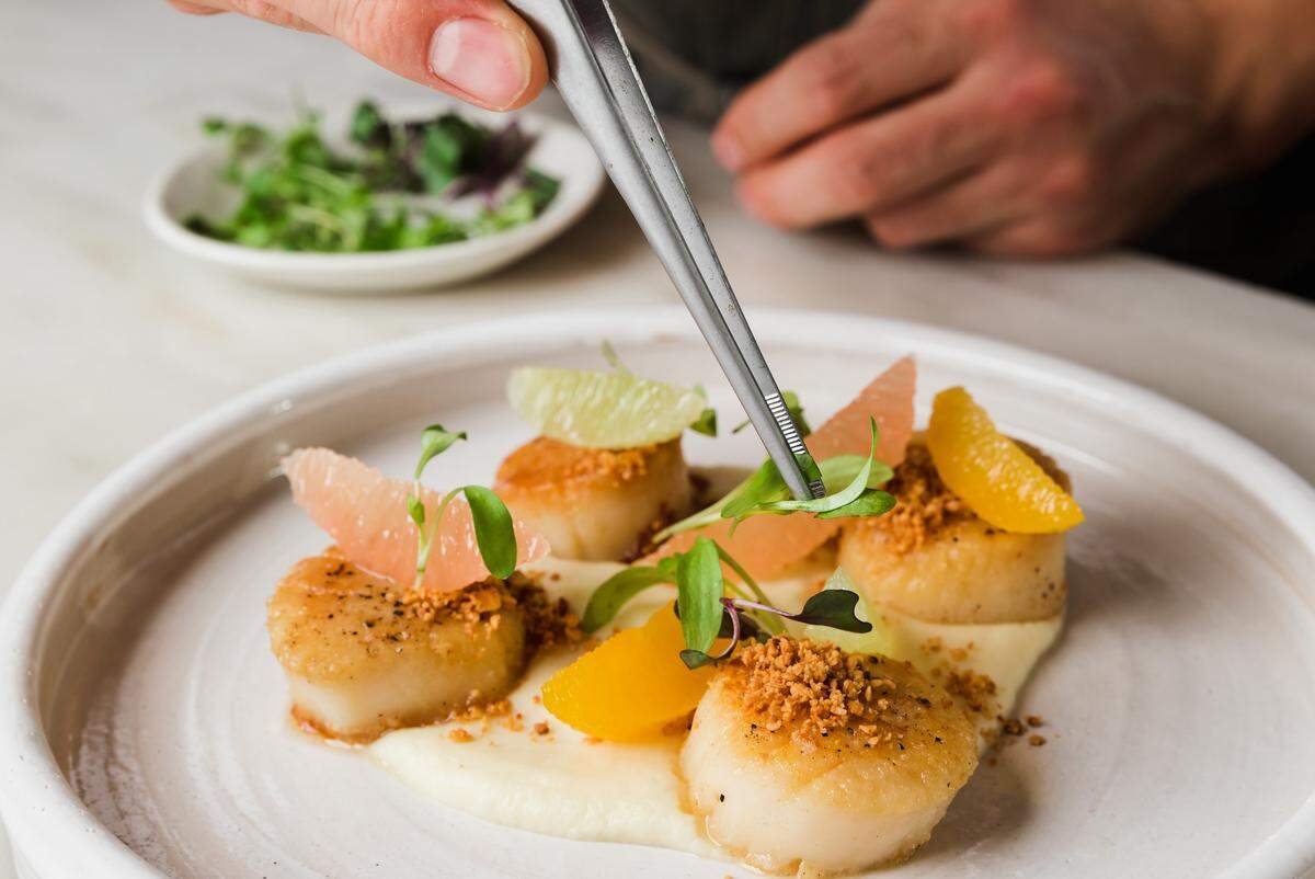 A close-up, high-angle shot of a chef’s hand using silver tweezers to carefully place microgreens onto a plate of seared scallops. The four scallops are served on a smooth white purée and garnished with citrus segments and toasted breadcrumbs.