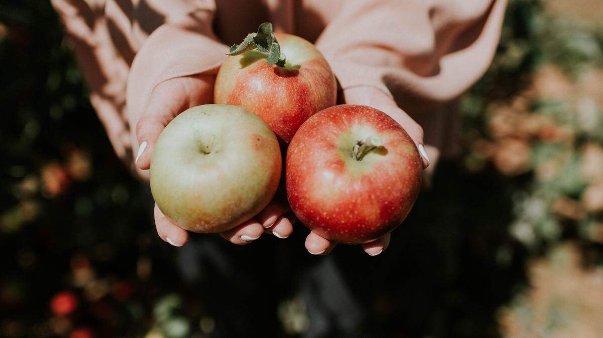 North Carolina is home to two of the best apple orchards in the country, new rankings show.