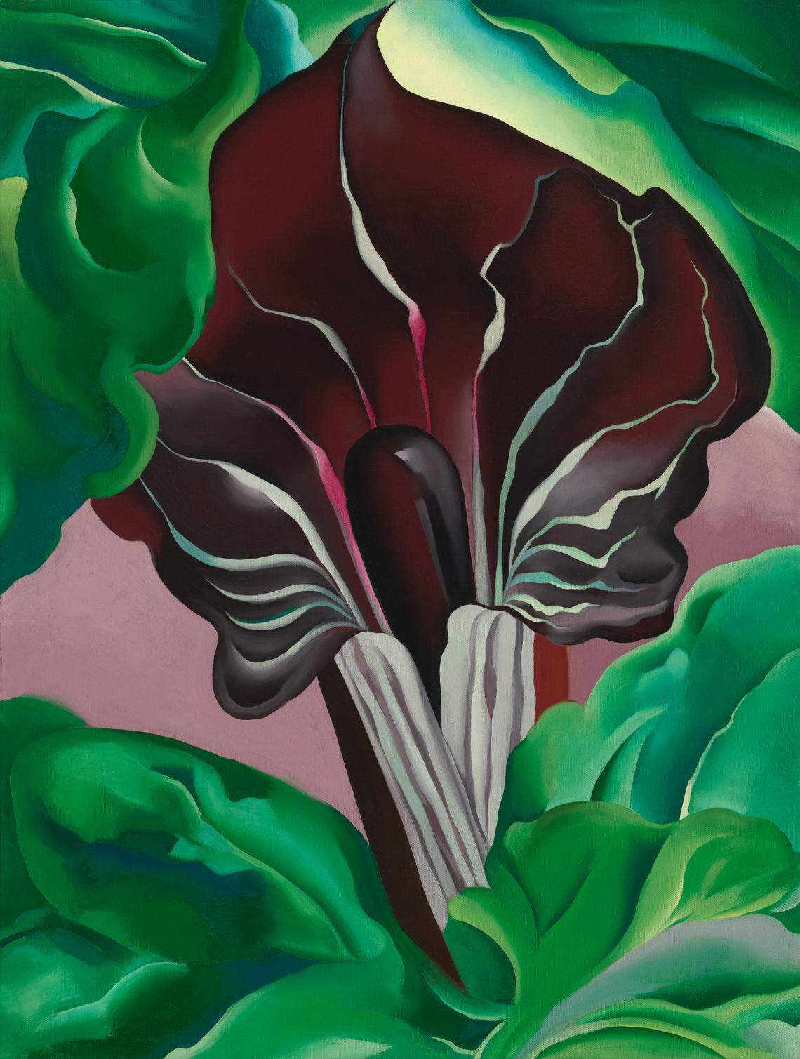 Georgia O’Keeffe, Jack-in-Pulpit- No. 2, 1930, oil on canvas, National Gallery of Art, Alfred Stieglitz Collection, Bequest of Georgia O’Keeffe, 1987.58.1
