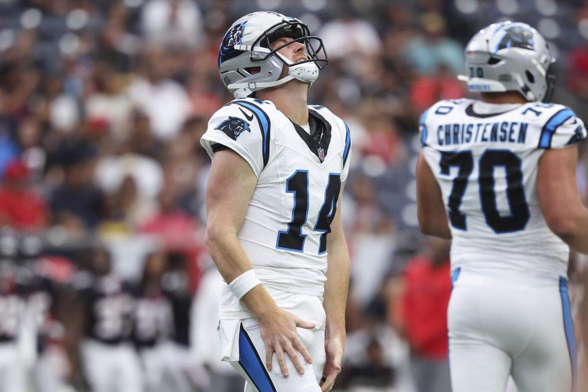 Carolina Panthers quarterback Andy Dalton (14) reacts after a play during the first quarter against the Houston Texans at NRG Stadium. Dalton would later hurt his throwing elbow.