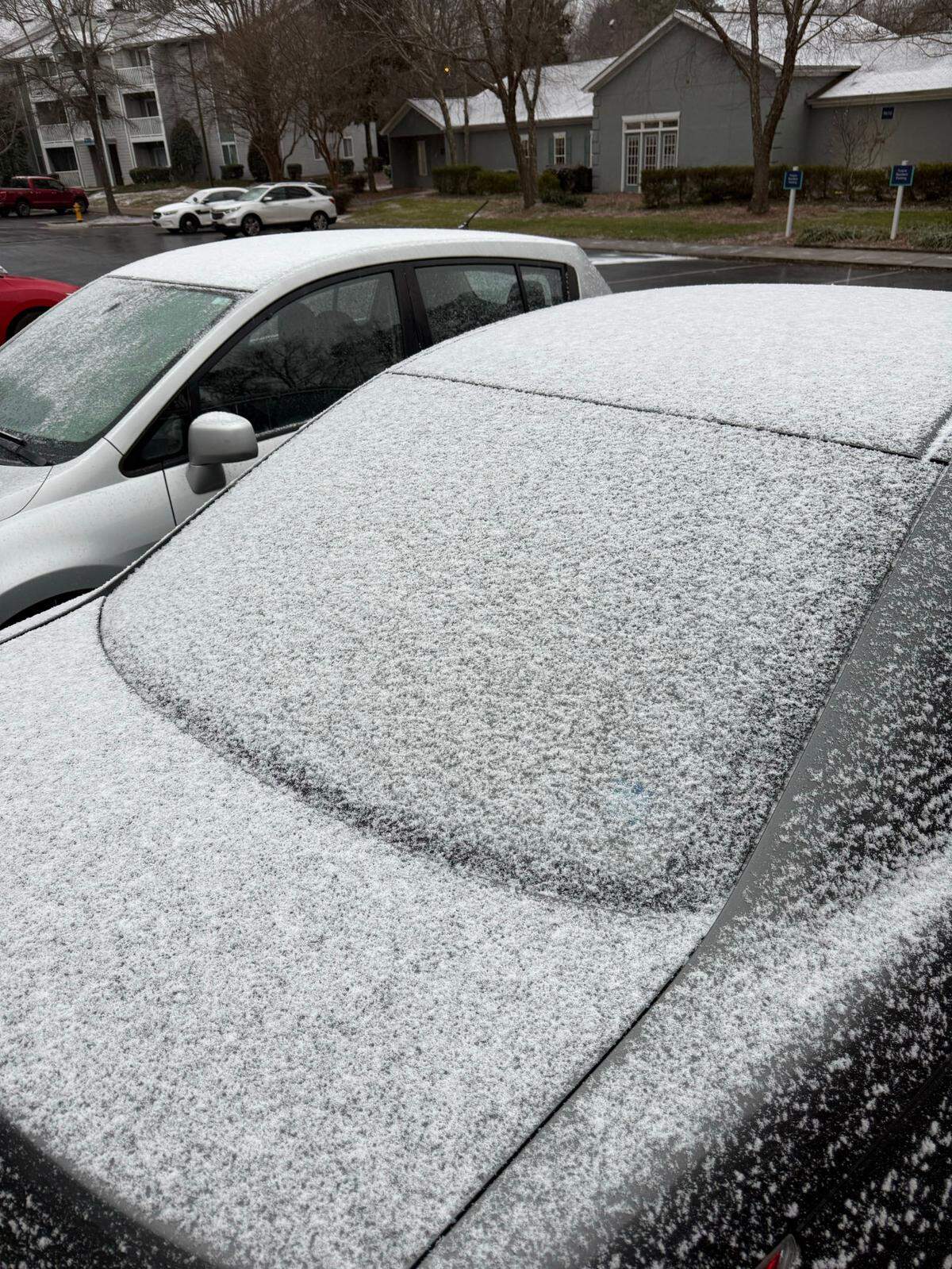 Snow covers cars on Friday afternoon. Freezing rain could bring icy roads to Charlotte.