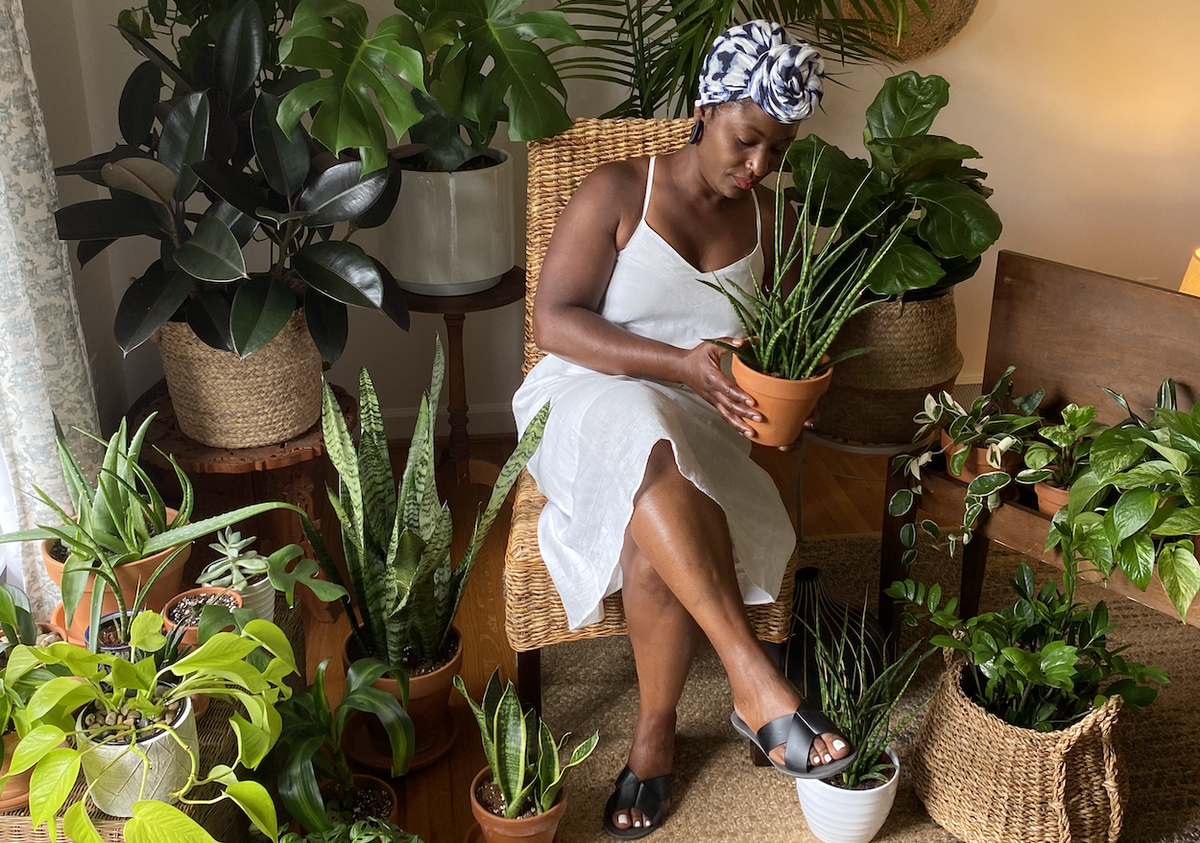 Lakesha Clark was laid off from her job due to COVID-19, and with her free time, began collecting plants. She now has about 40 plants in her living room.
