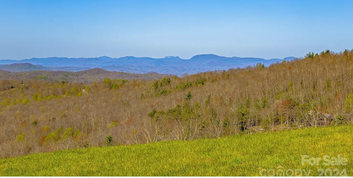 The Ridges of Steel Creek estate includes 40 acres of grasslands and pasture.