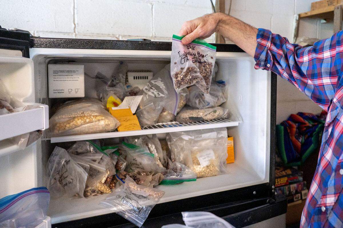 James Veteto, executive director at Southern Seed Legacy and seed saver, holds up a bag of Turkey Craw beans out of one of his seed storage freezers at his home in Celo on Aug. 10.