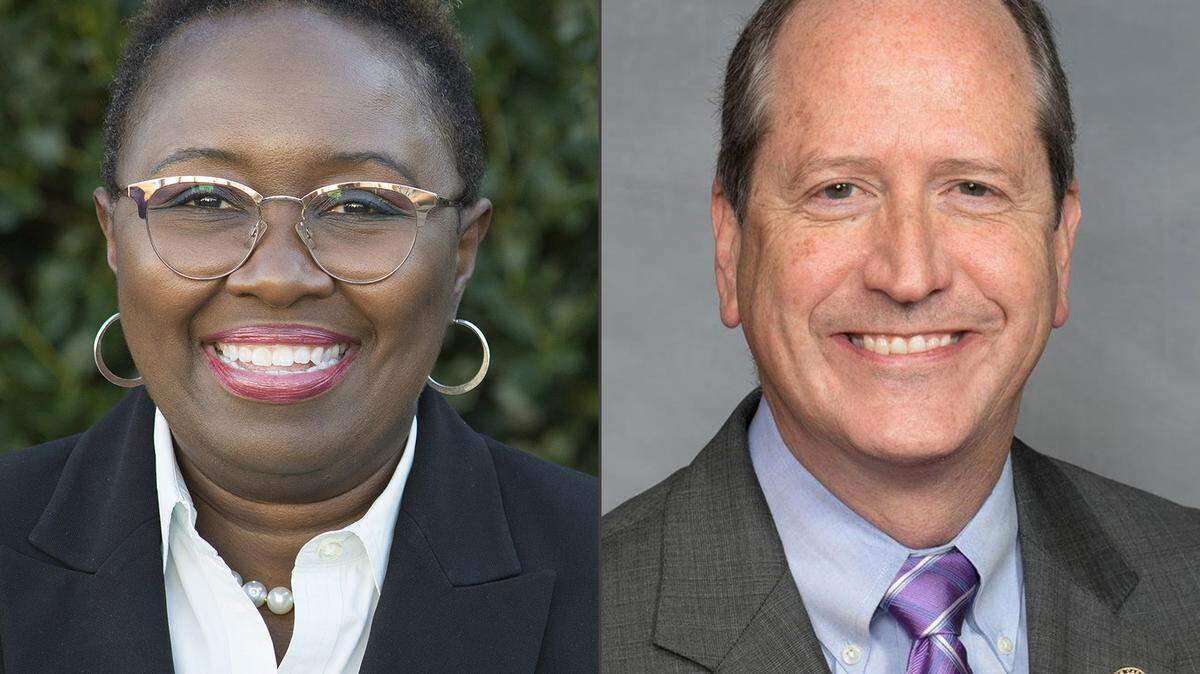 Democrat Cynthia Wallace is challenging Republican Dan Bishop in the 9th Congressional District.
