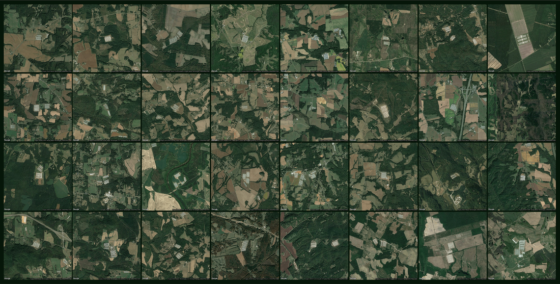 Satellite images show thousands of poultry barns - known for their long, slender design - dotting North Carolina.