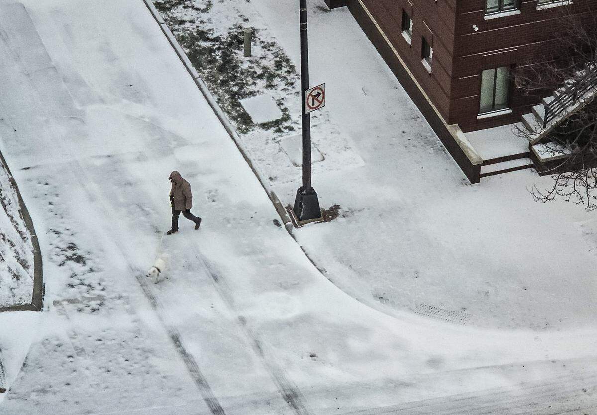 A man crosses an icy 10th Street as he walks his dog in UptownCharlotte Sunday morning on January 25, 2026. 