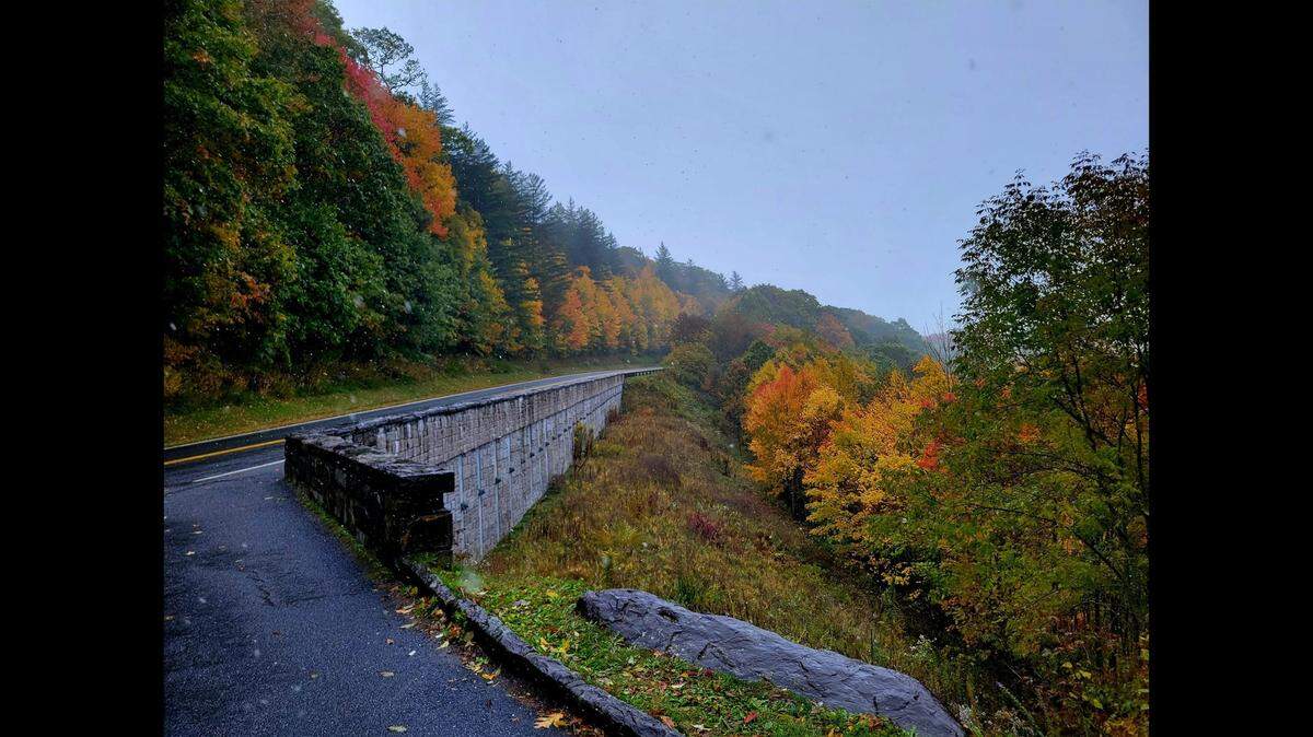 A forecast of gale force winds — including 80 mph gusts — has prompted the National Park Service to close camp grounds and most roads in Great Smoky Mountains National Park.