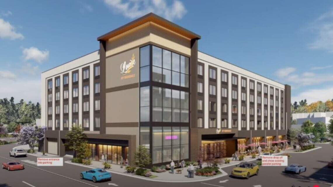 New Birkdale Village owner faces protests while touting benefits of expansion plans