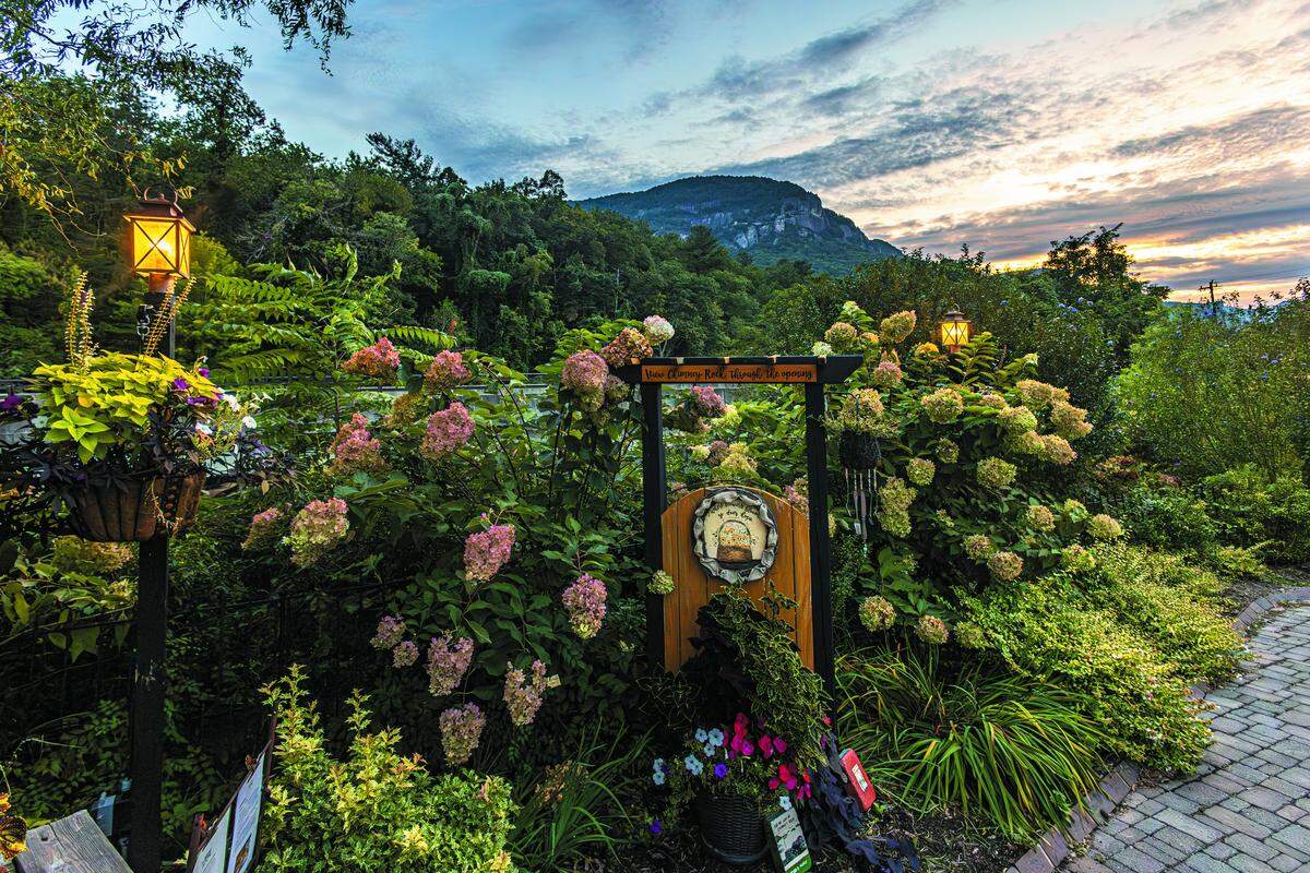 A lush garden path on the Lake Lure Flowering Bridge, with large pink and white hydrangea bushes, a glowing lamp post, and a view of a mountain peak in the distance.