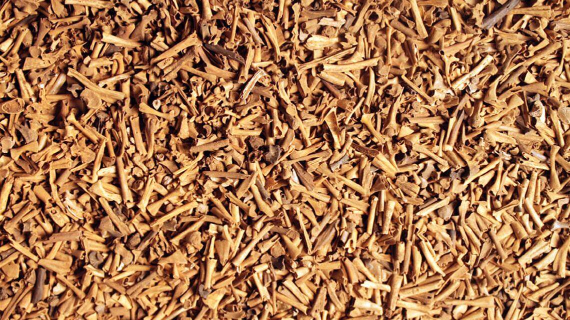 Few heads were among the ancient toad bones discovered in the North Carolina mountains.