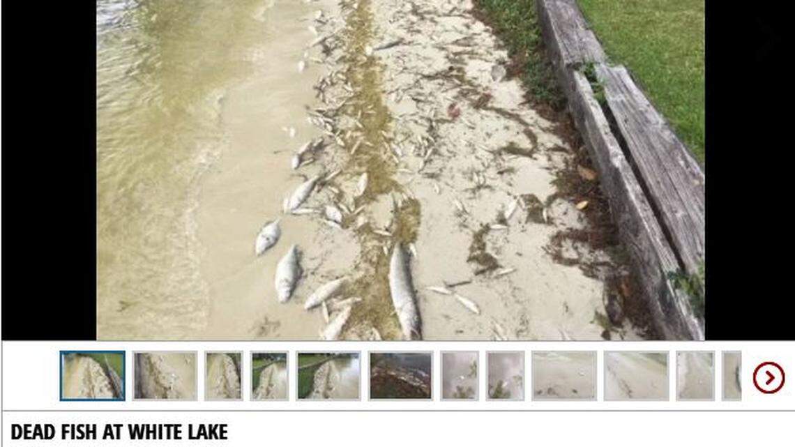 State officials say an algae bloom, not the chemical used to treat it, killed fish at White Lake, a popular eastern North Carolina fishing lake.