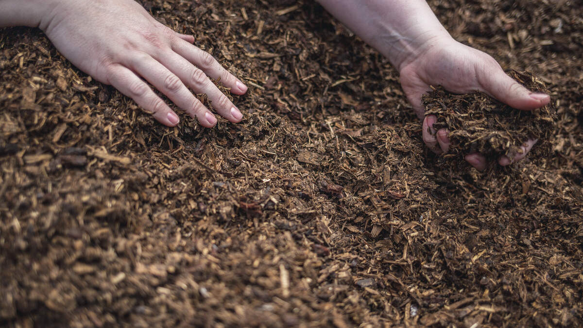 How an NC professor and her students helped human composting become legal in the US