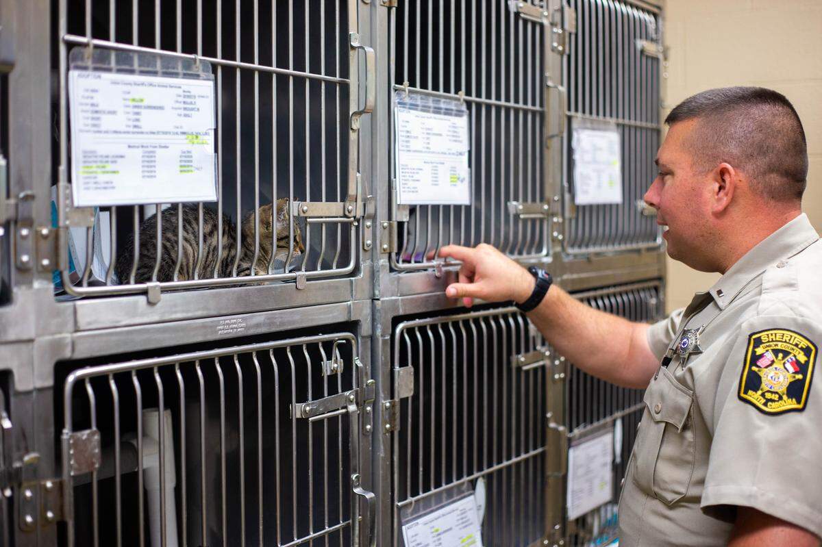 Lt. Scott Green, of Union County Animal Services, pets one of the shelter’s cats. In 2018, the shelter euthanized more than 1,400 cats - nearly five times the number that were adopted.