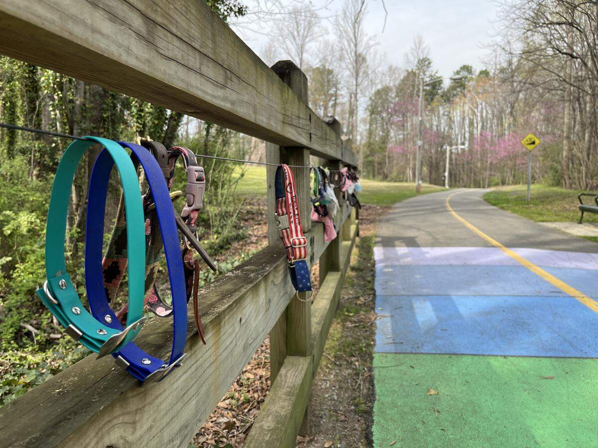 Dog collars are seen on along the Rainbow Bridge. The bridge can be found on the Marcia H. Cloninger Rail-Trail in Lincolnton, N.C.