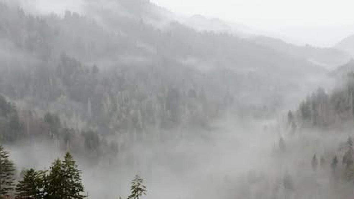 A North Carolina woman who served as a volunteer at Great Smoky Mountains National Park was found dead along a popular trail, the park says.